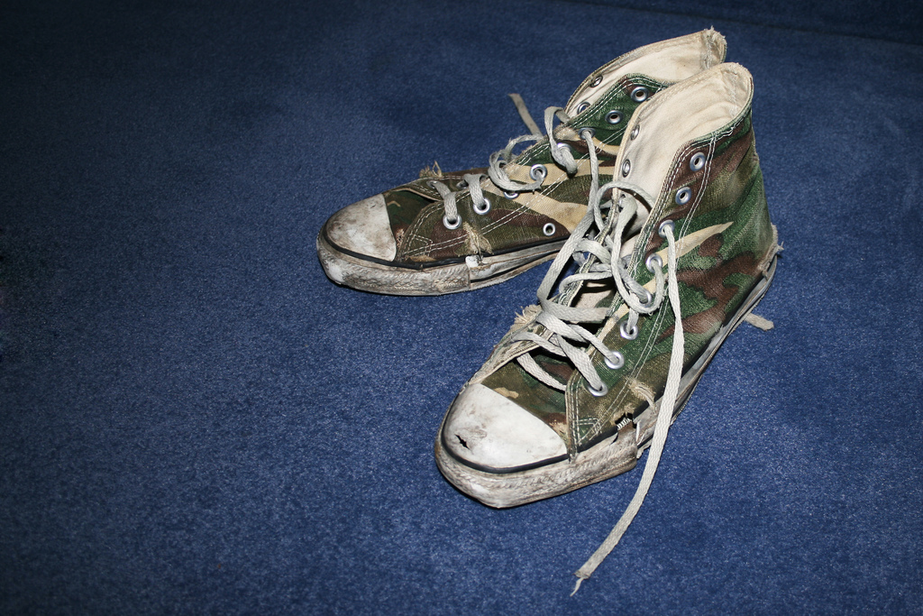 shoe