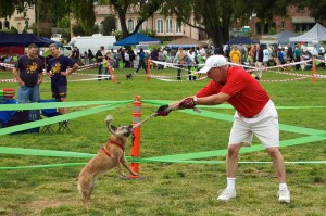 How much do you want to bet this guy is telling his dog to drop the rope and roll over? Pic from donjd2